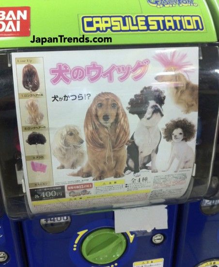 Capsule vending machine containing wigs for dogs
